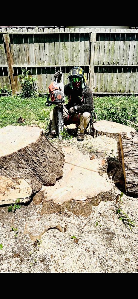 Our Stump Removal service efficiently eliminates unsightly stumps, enhancing your property's appearance and preventing pest infestations. Enjoy a clean, level landscape ready for new planting or other landscaping projects. for Johnnys Pro Cutters in Corpus Christi, TX
