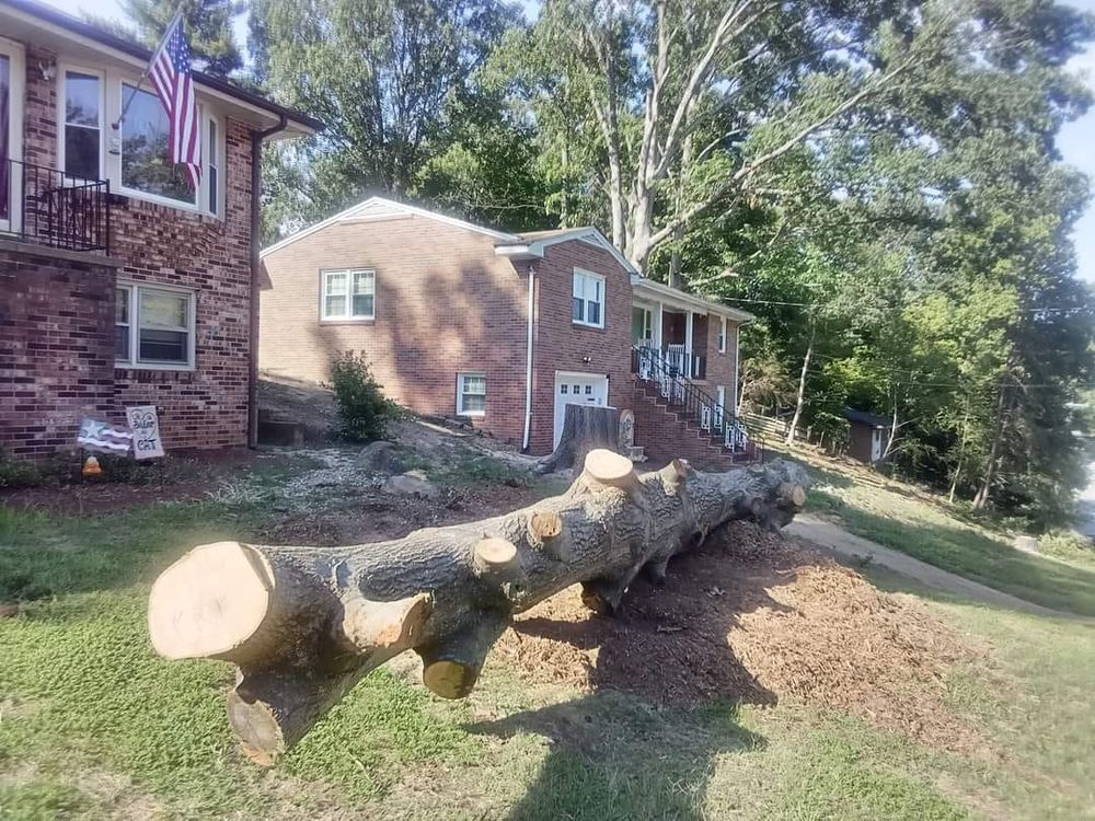 All Photos for The Webster Tree Service in Danville, VA