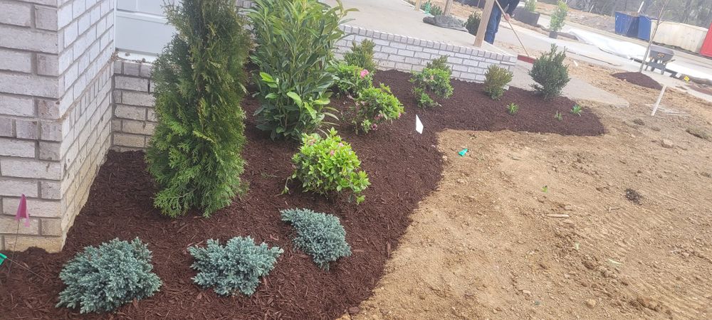 Our Forestry Mulching service efficiently clears overgrown land, transforming it into usable space by shredding vegetation and underbrush, promoting healthier ecosystems without the need for costly debris removal or burning. for J&G Trucking Excavating & Hauling in Nashville, TN
