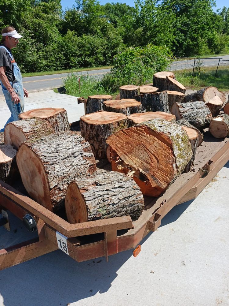 All Photos for Millers Tree Service in Saline County, AR