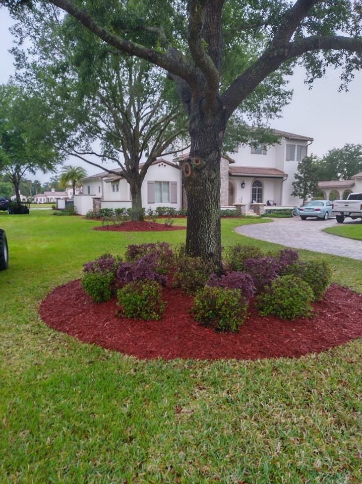 All Photos for Tru Tree Service  in Ocala , FL 