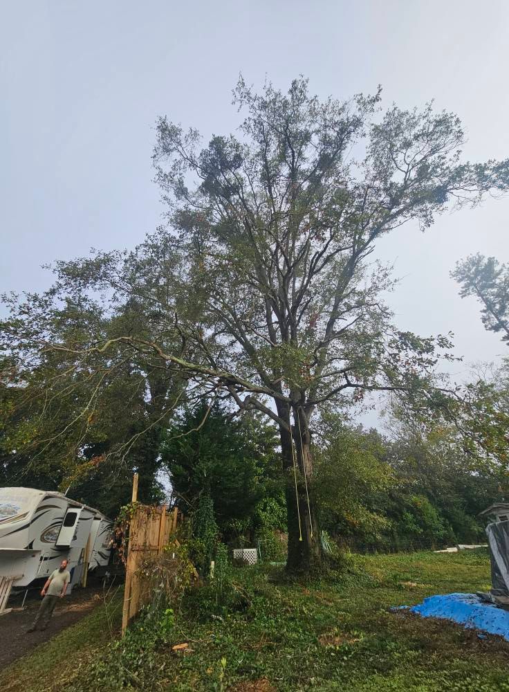 24/7 Storm Response for Sasquatch Tree Services LLC in Spartanburg, SC