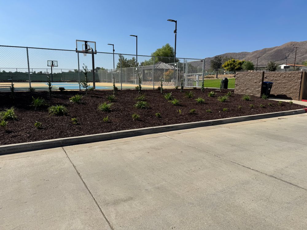 Drought-Tolerant Landscapes for Aidan Jade Landscaping in Riverside County, CA