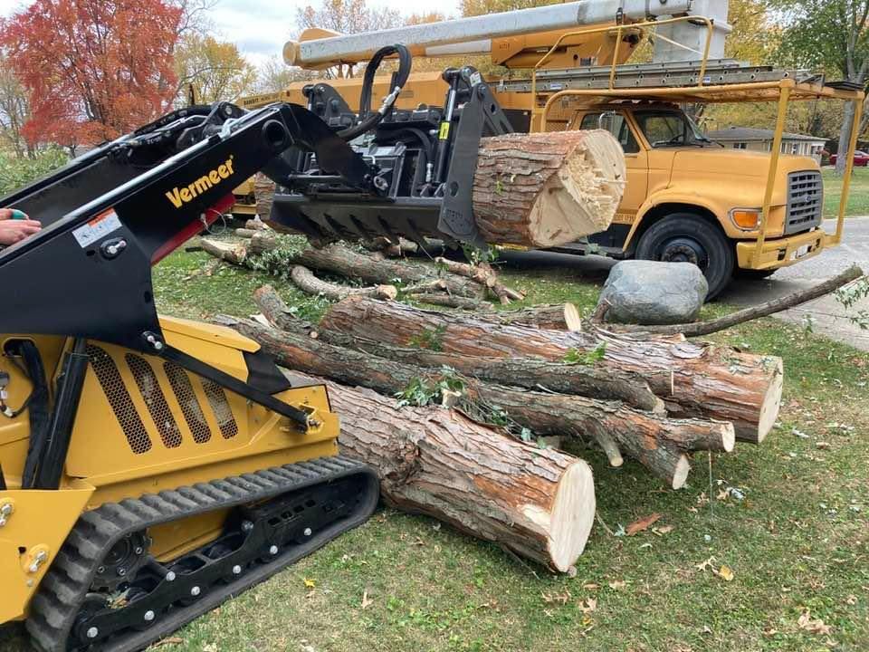 Tree Removal for Village Tree Service in Whitestown, IN