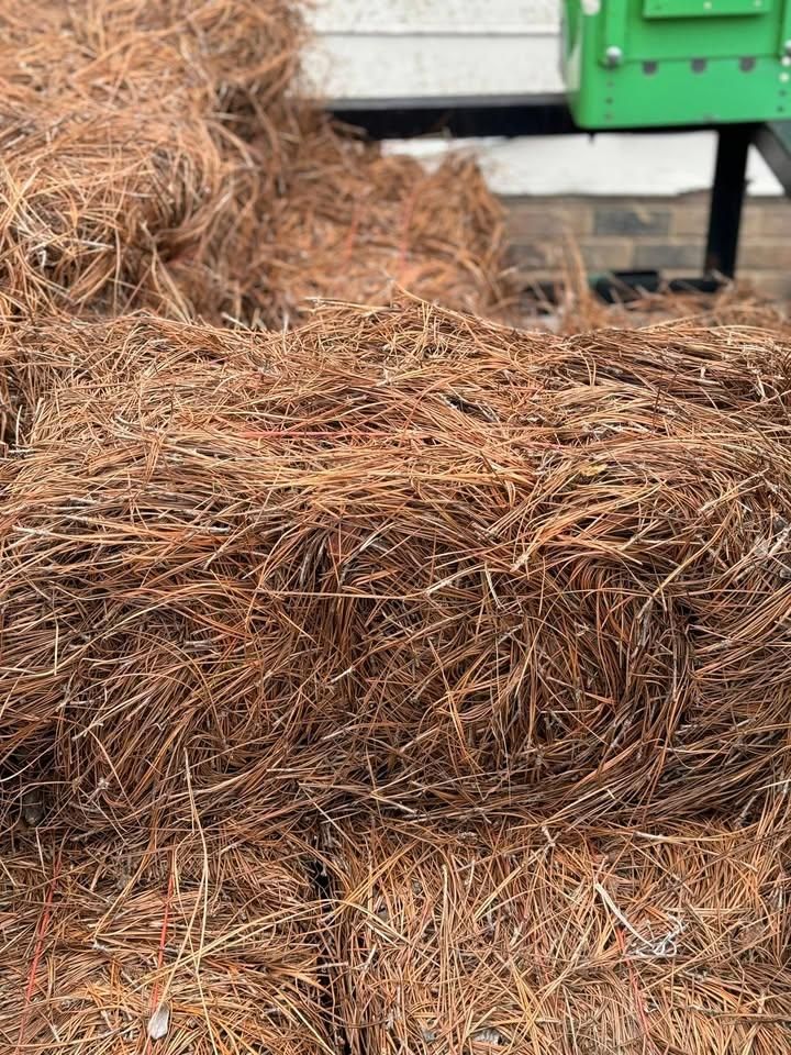 All Photos for Green Works Landscaping in Clayton, NC