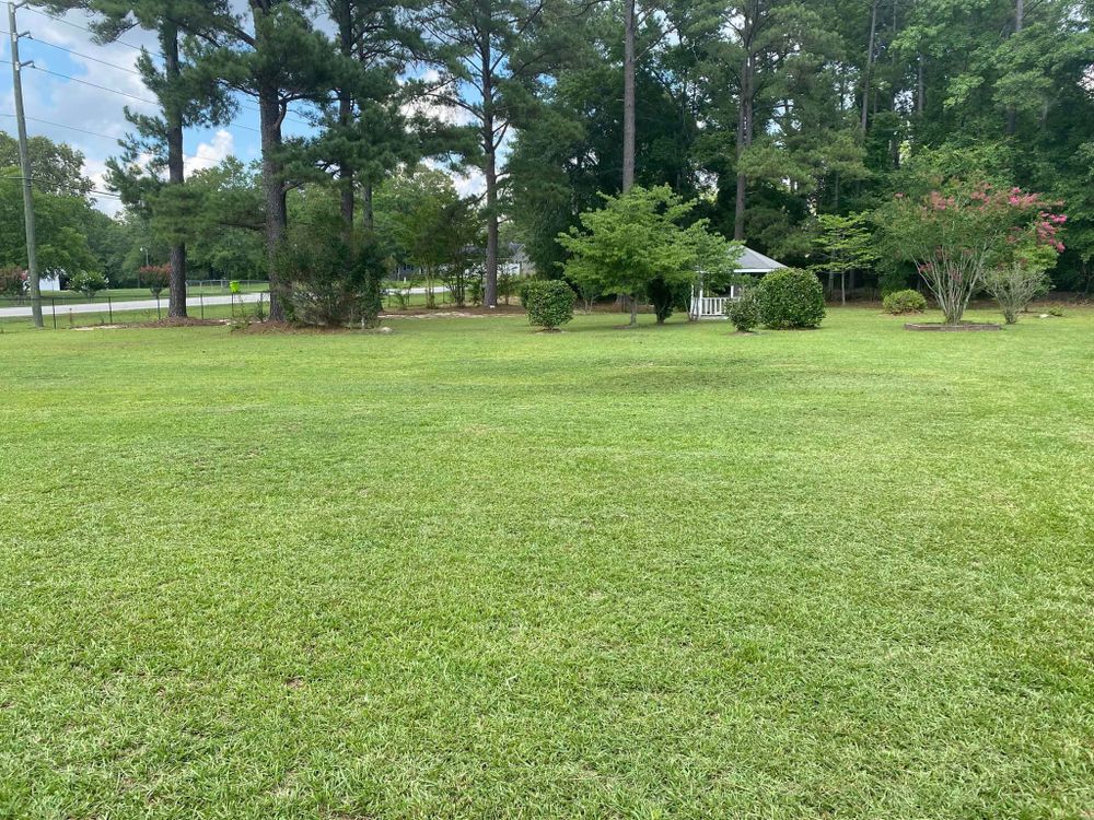 Landscaping for Alpha 1 Property Maintenance LLC in Pensacola, FL