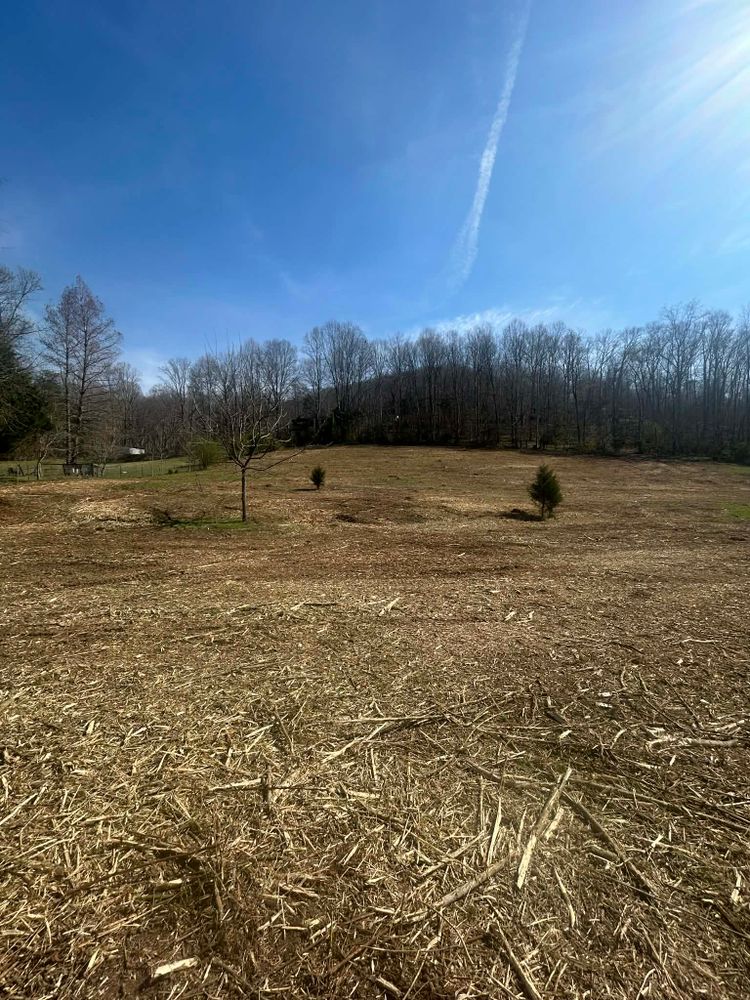 All Photos for Z's Land Management & Forestry Mulching in Smithville, TN