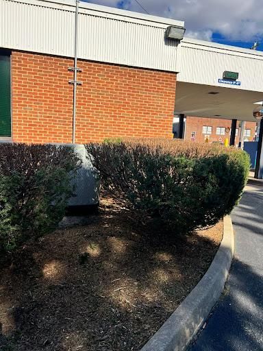 All Photos for Valencia’s Lawncare in Charlottesville, VA