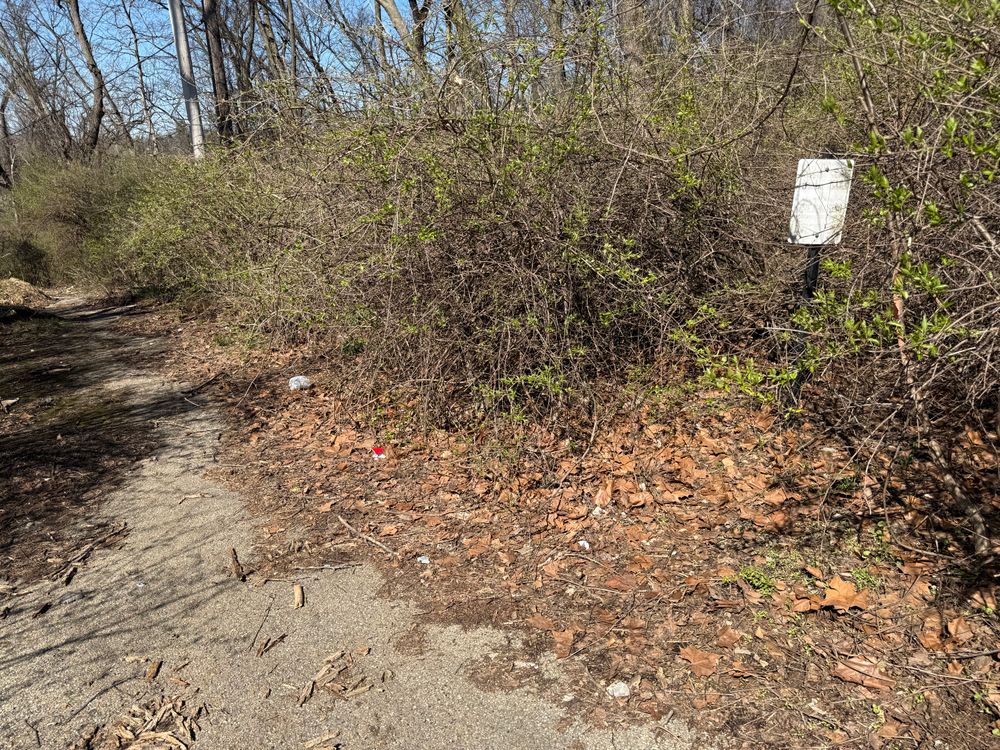 All Photos for A1 Bush Hogging & Lawn Service in London, OH