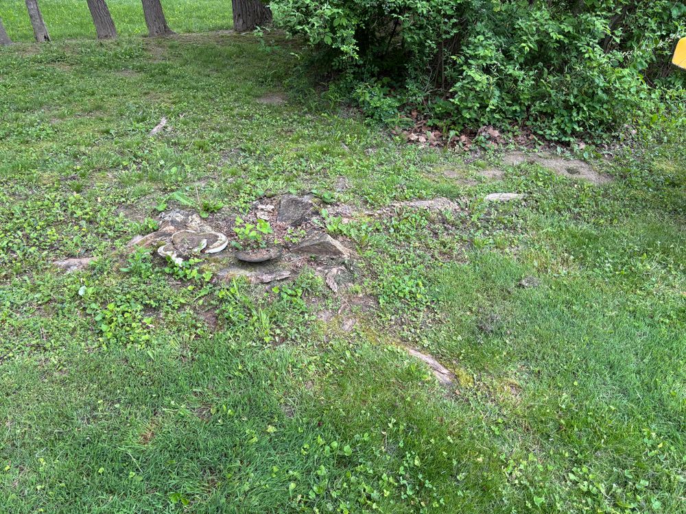 All Photos for Conrad's Stump Removal in Columbus, IN