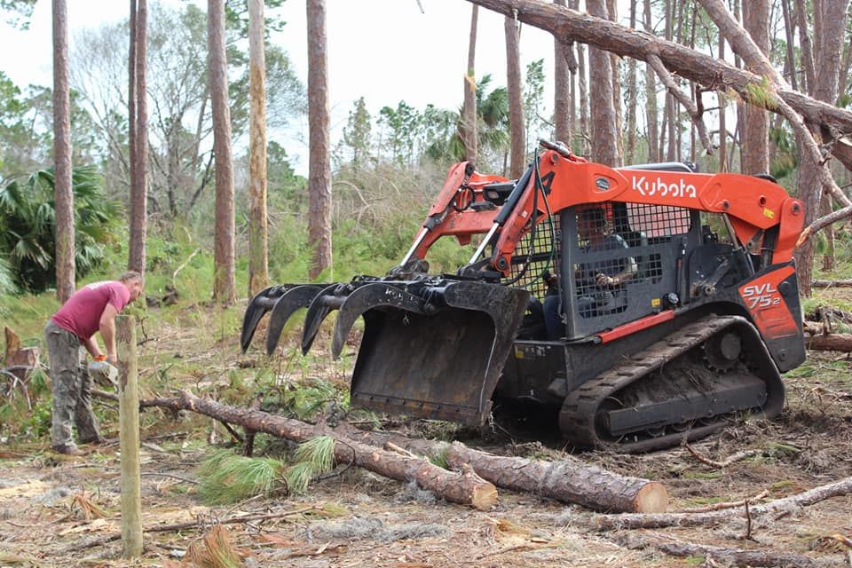 Tree Removal for American Tree Masters in Alvin, TX