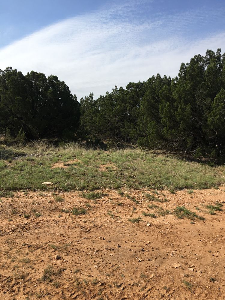 All Photos for Elite Horizons in Abilene, TX