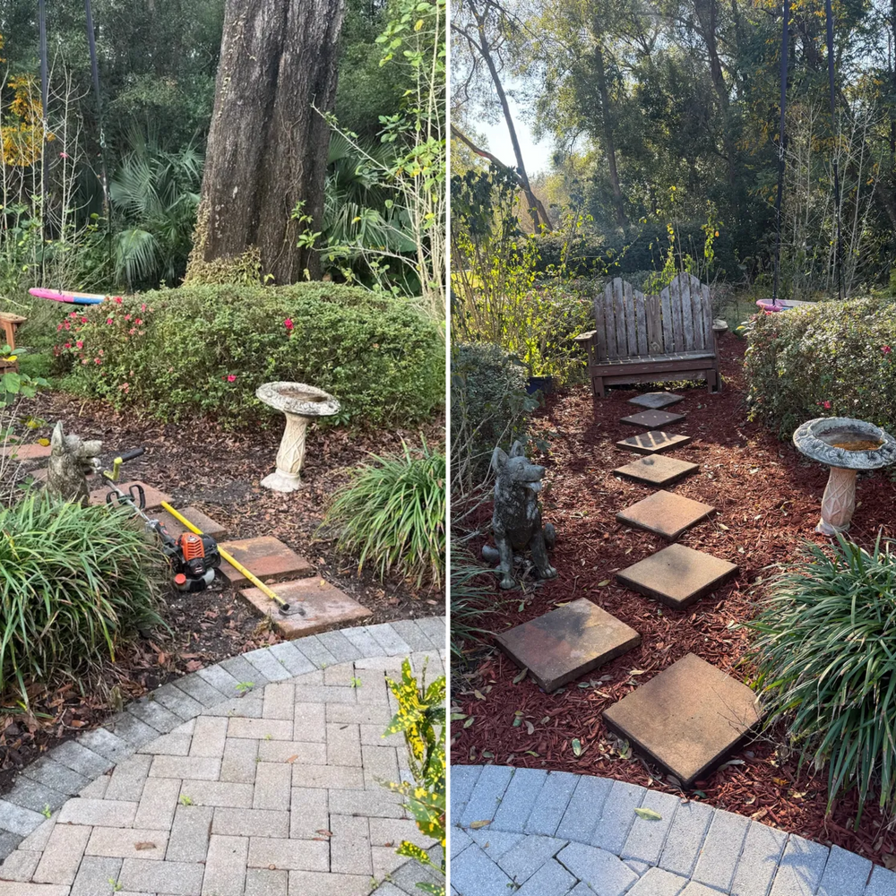 All Photos for Amerigrown Tree And Lawn in Apopka, FL