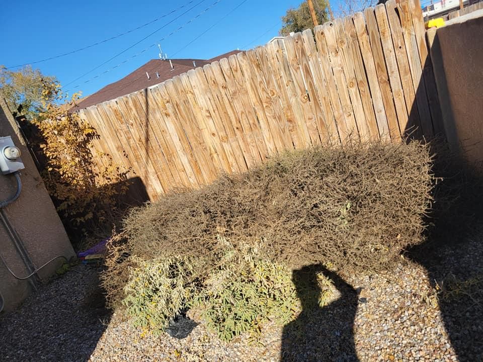 All Photos for 2 Brothers Landscaping in Albuquerque, NM