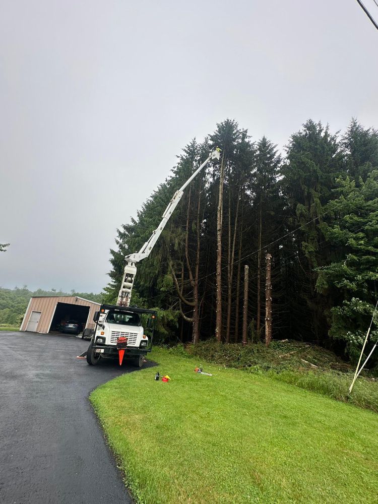All Photos for Mad Tree Service in Cochranton, PA