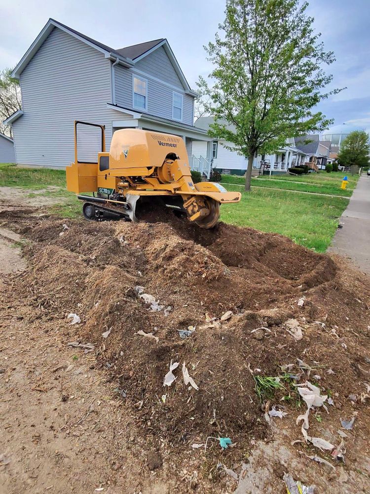 All Photos for F & F Tree Service in Beavercreek, OH