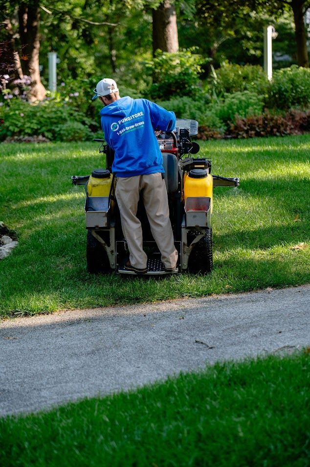 All Photos for Pungitore Landscapes, Irrigation & Fertilizer in Hingham, MA