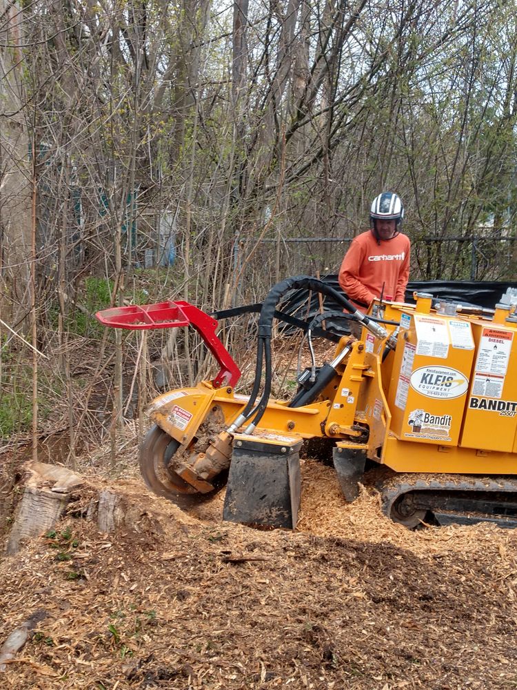 Stump Removal for TH Property Service, LLC in Manlius, NY