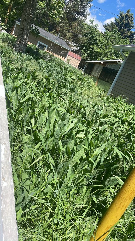 All Photos for Troy’s Handyman Services in Billings, MT