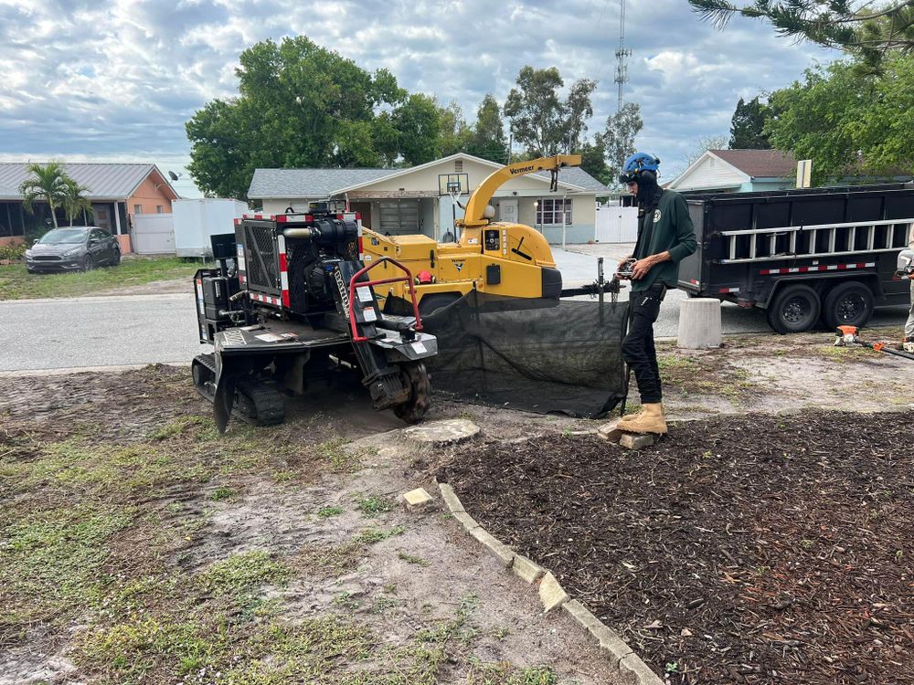 Stump Removal for Adam's Tree and Stump Care in Bradenton, Florida