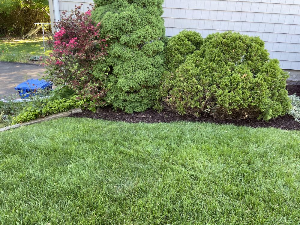 All Photos for Ace Landscaping in Trumbull, CT