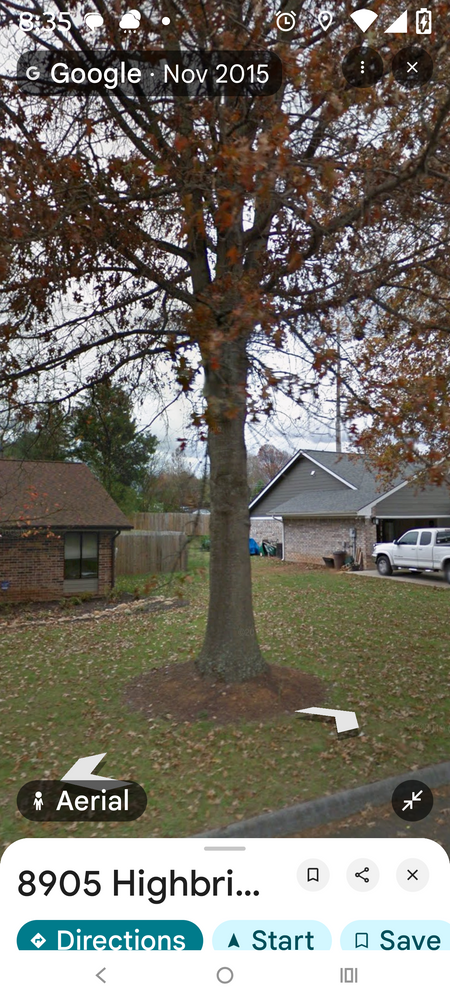 All Photos for Rush Tree Specialist in Knoxville, TN