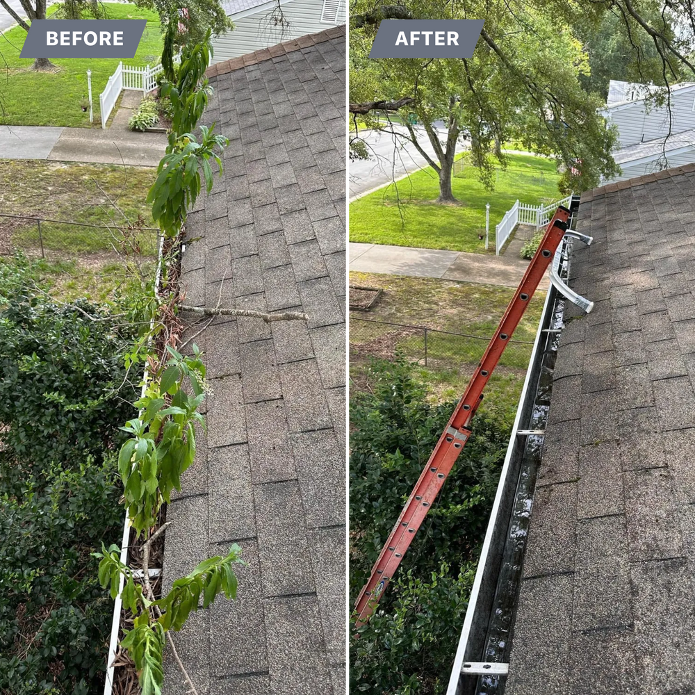 All Photos for LeafTide Solutions in Richmond, VA