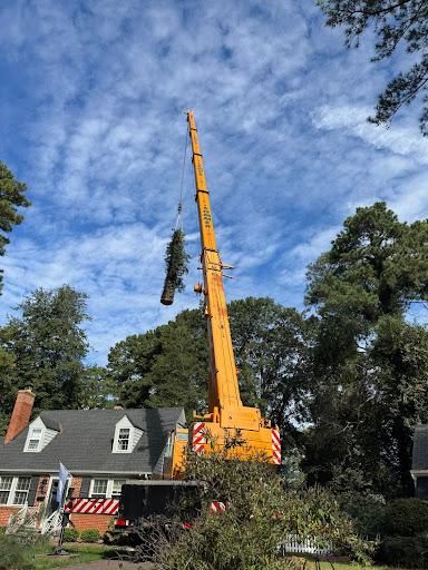 All Photos for Rawls Tree Care in Richmond, VA