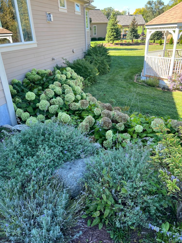 Landscaping for Trim Seasonal Services in Milwaukee, WI