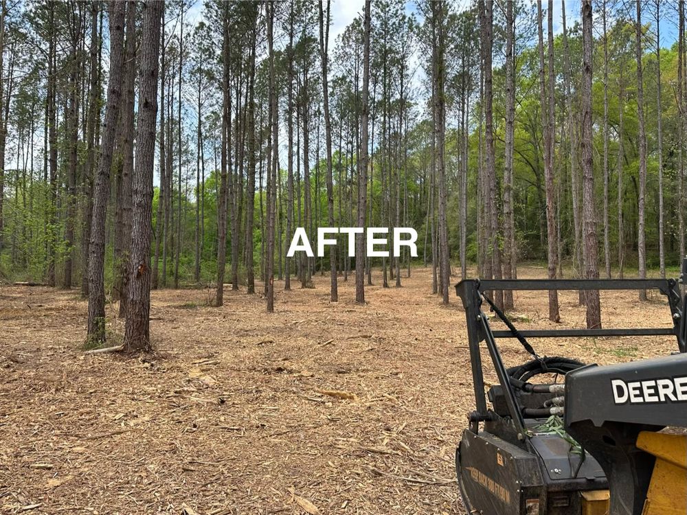 Our Forestry Mulching service efficiently clears overgrown land, turning unwanted vegetation into beneficial mulch. Ideal for site preparation and landscape enhancement, it promotes healthy soil while minimizing environmental impact and preserving desirable trees. for Central Alabama Site Works in Selma, AL