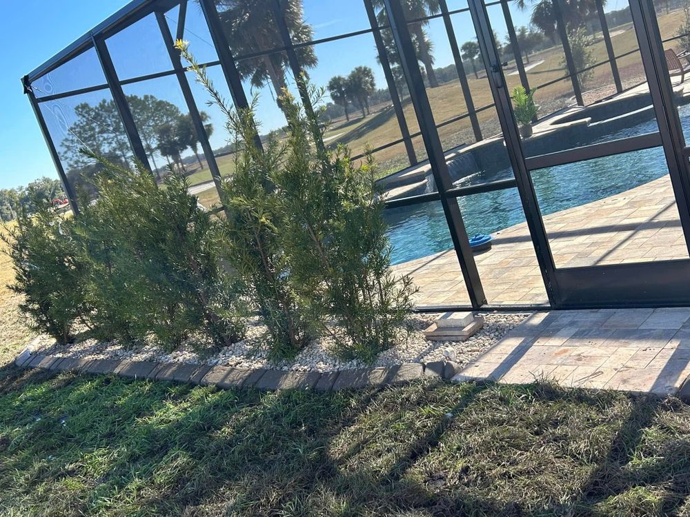 Lawn Care for J and E LAWN Landscaping in Gainesville, Florida