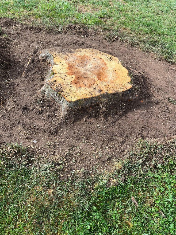 All Photos for Lopez Landscaping and Hardscapes in Scranton, PA