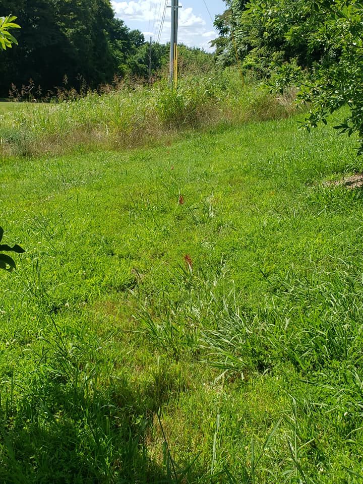 Underground Utility Locating for Jones Locating Services in Bluff City, TN