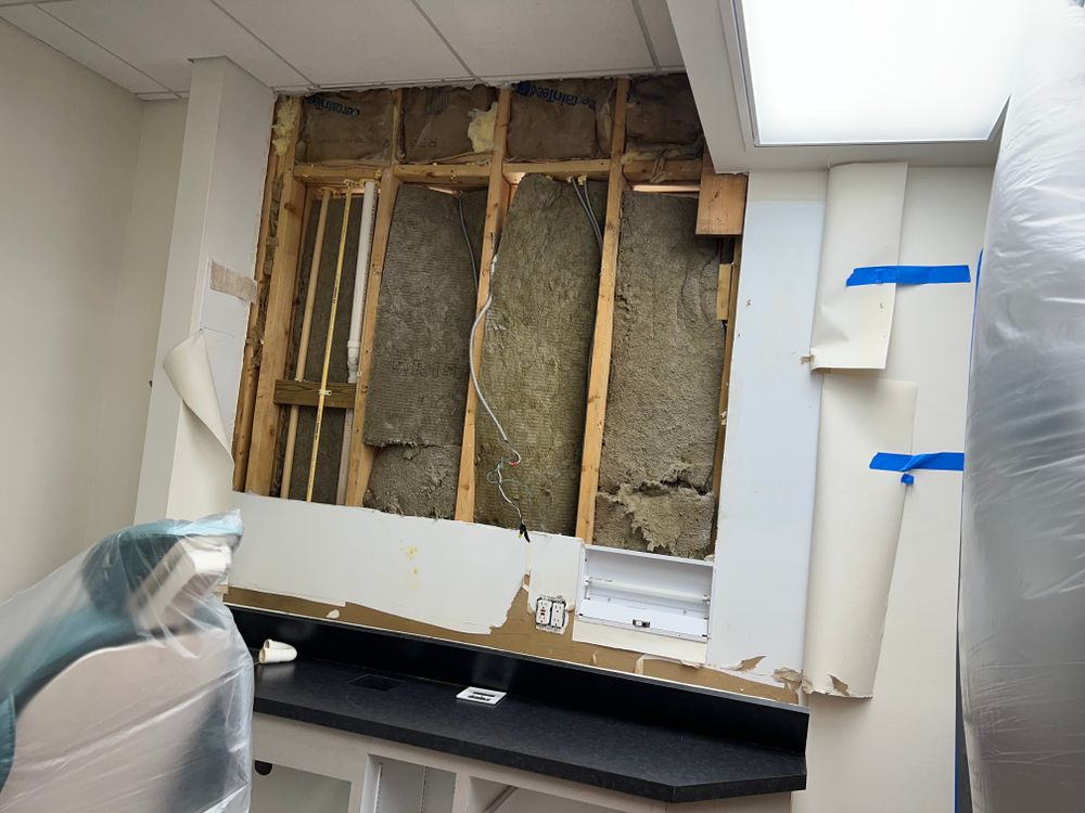 Mold Remediation for N&D Restoration Services When Disaster Attacks, We Come In in Cape Coral,  FL