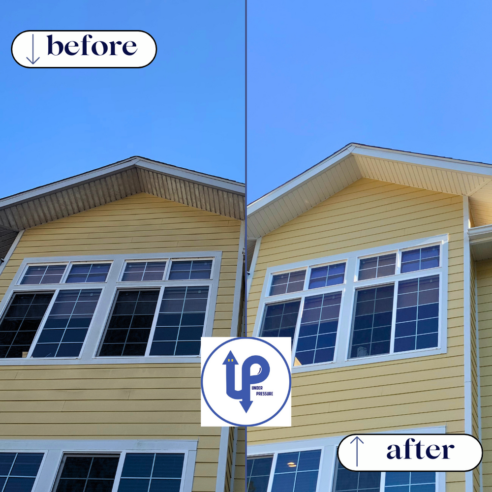 All Photos for Under Pressure: Pressure Washing Service in Raleigh, NC