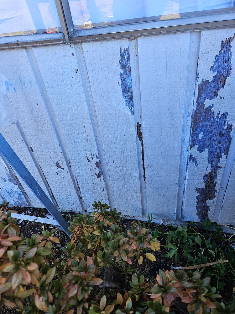 All Photos for Home Pros in Maple Falls, WA