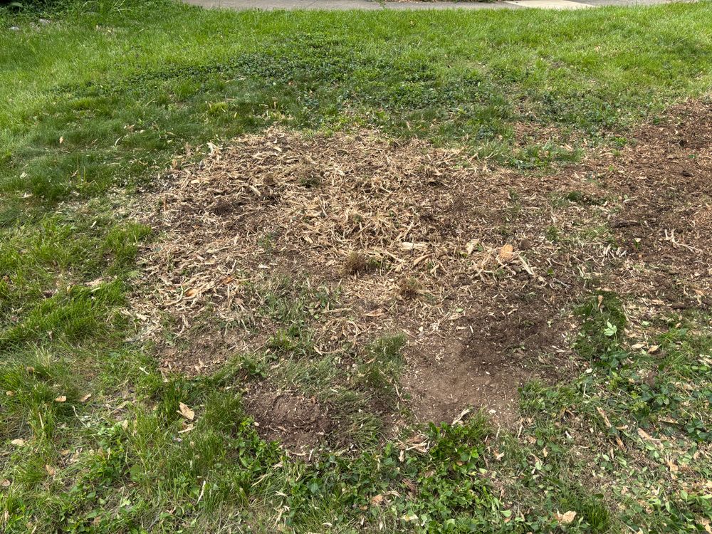 All Photos for Conrad's Stump Removal in Columbus, IN