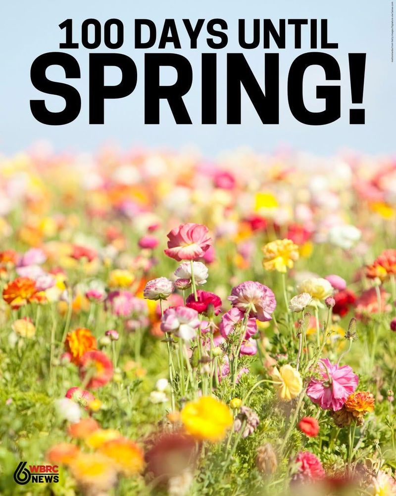 All Photos for Greenwood Lawn & Landscaping LLC in Talladega, Alabama