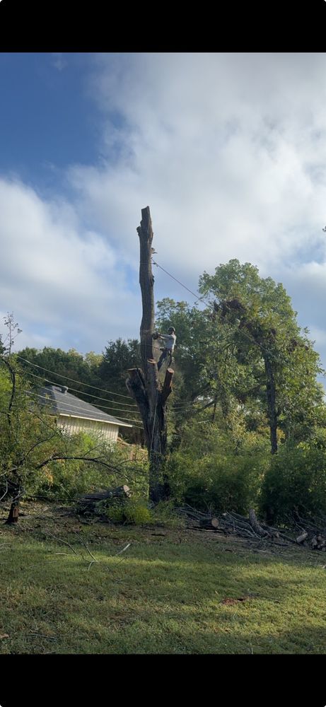 All Photos for Twin Oak Solutions in Carrollton, TX