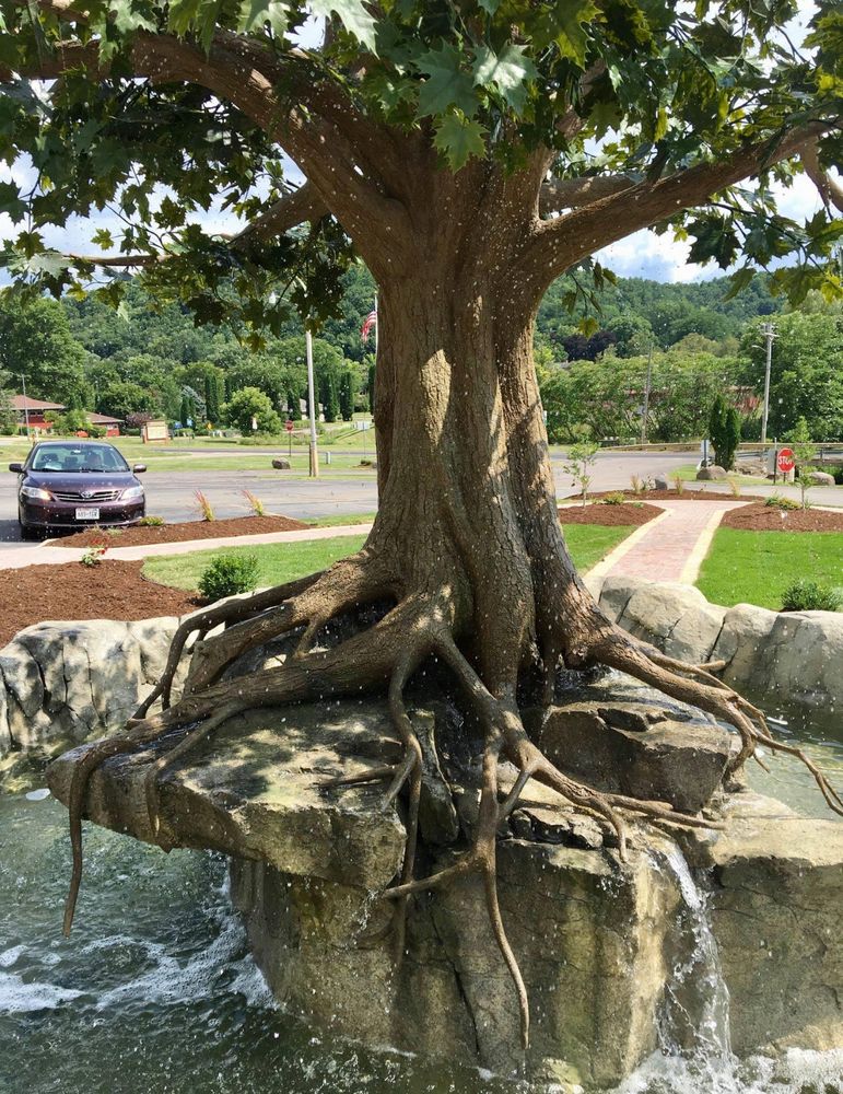 All Photos for Texas Curb N Borders in Houston, TX