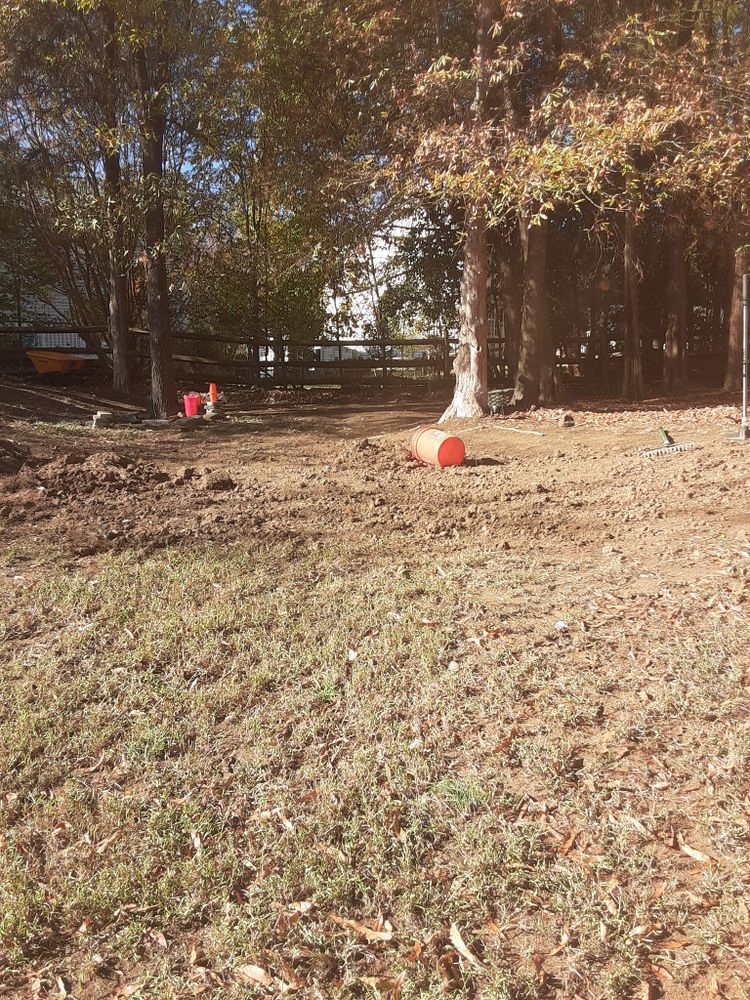 Tree Removal for Oakhurst Landscaping and Tree Service in Charlotte, NC