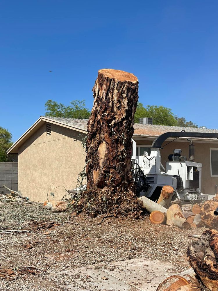 Our Tree Removal service offers safe, efficient removal of unwanted or hazardous trees. Our expert team ensures minimal disruption to your property while prioritizing safety and maintaining the beauty of your landscape. for Yuma Palms & Tree Service in Yuma, AZ