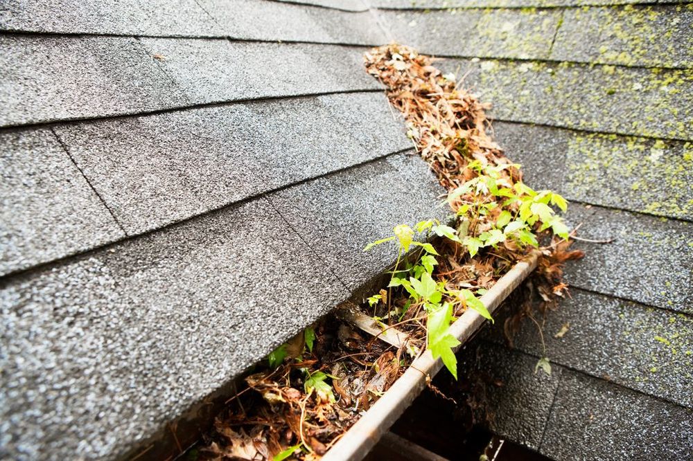 “Honey! can you clean the Gutters?” A question that haunts millions of spouses yearly, Say no more to this burden and potential risk. Our Gutter cleaning removes debris, leaves, and buildup to ensure your entire Gutter System flows freely. for KC Custom Exteriors  in Muskegon, MI