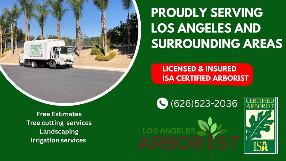 All Photos for Maya Tree Service in La Puente, CA