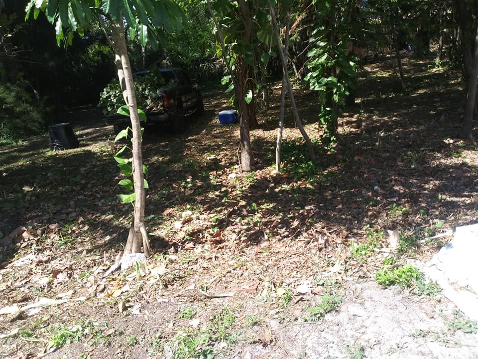 All Photos for Madissons Green in West Palm Beach ,   FL