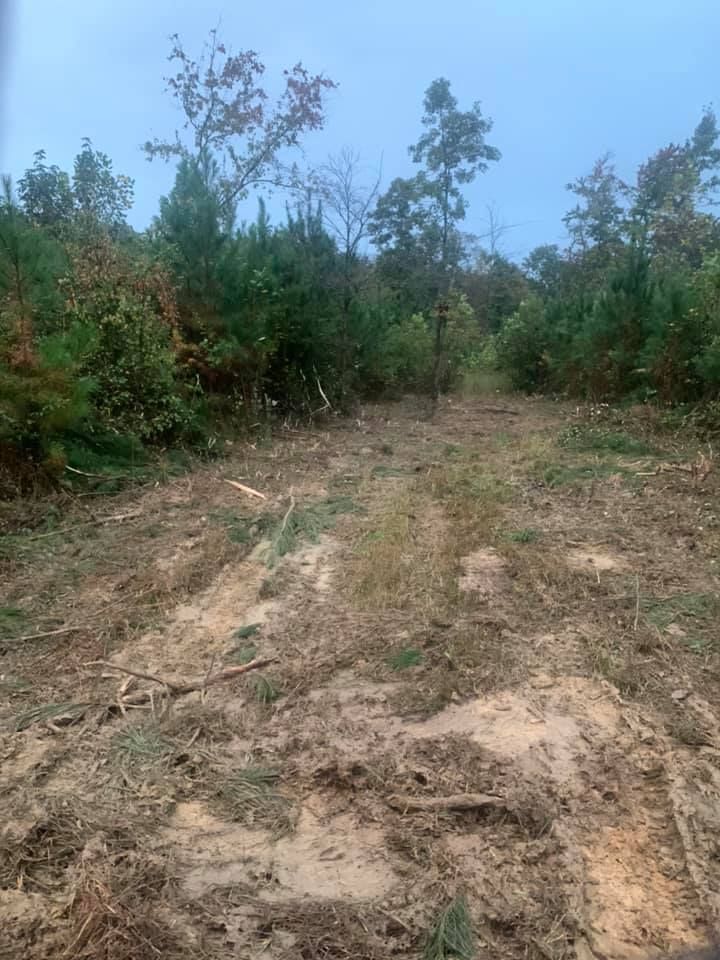 Our Debris Removal service efficiently clears your property of waste and unwanted materials, ensuring a clean, safe space. Trust our professional team to handle the job with precision and care. for Southeast Land Services in Cleveland, TN