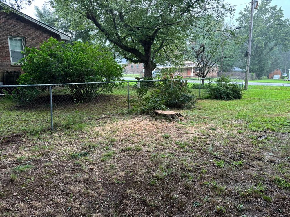 Tree Services for Total Tree Care in Erwin, North Carolina