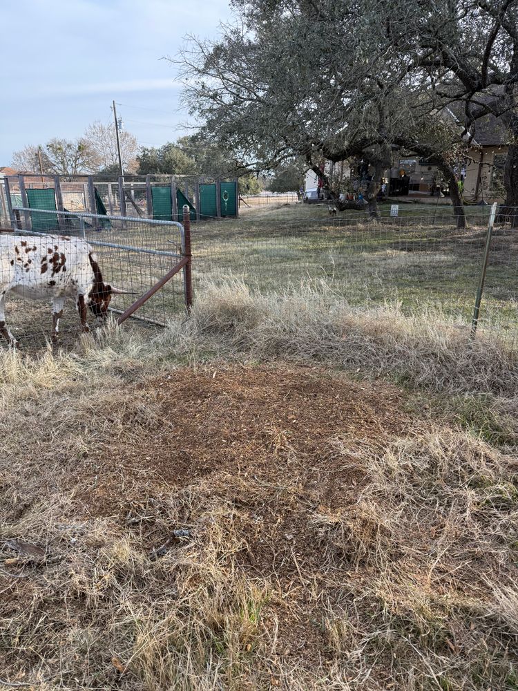 All Photos for Oakley’s Stump ‘N Grind in Leander, TX