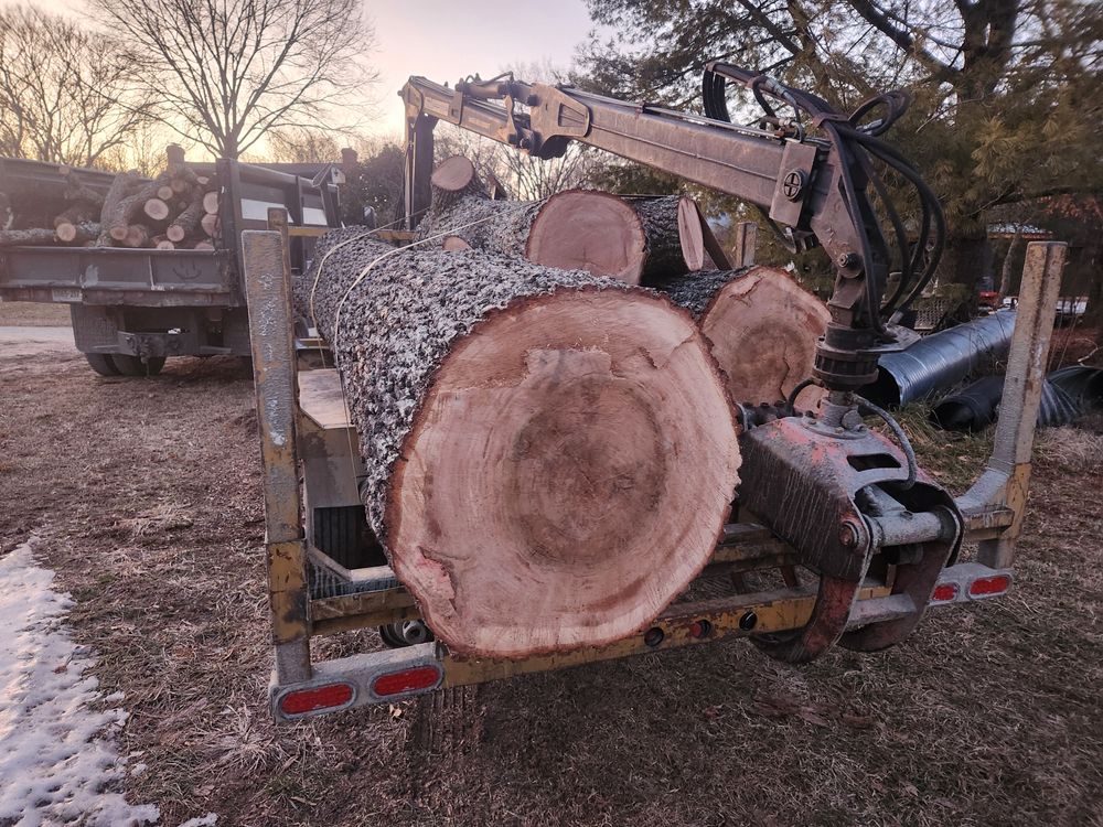All Photos for Smith Tree Experts in Palmyra, VA
