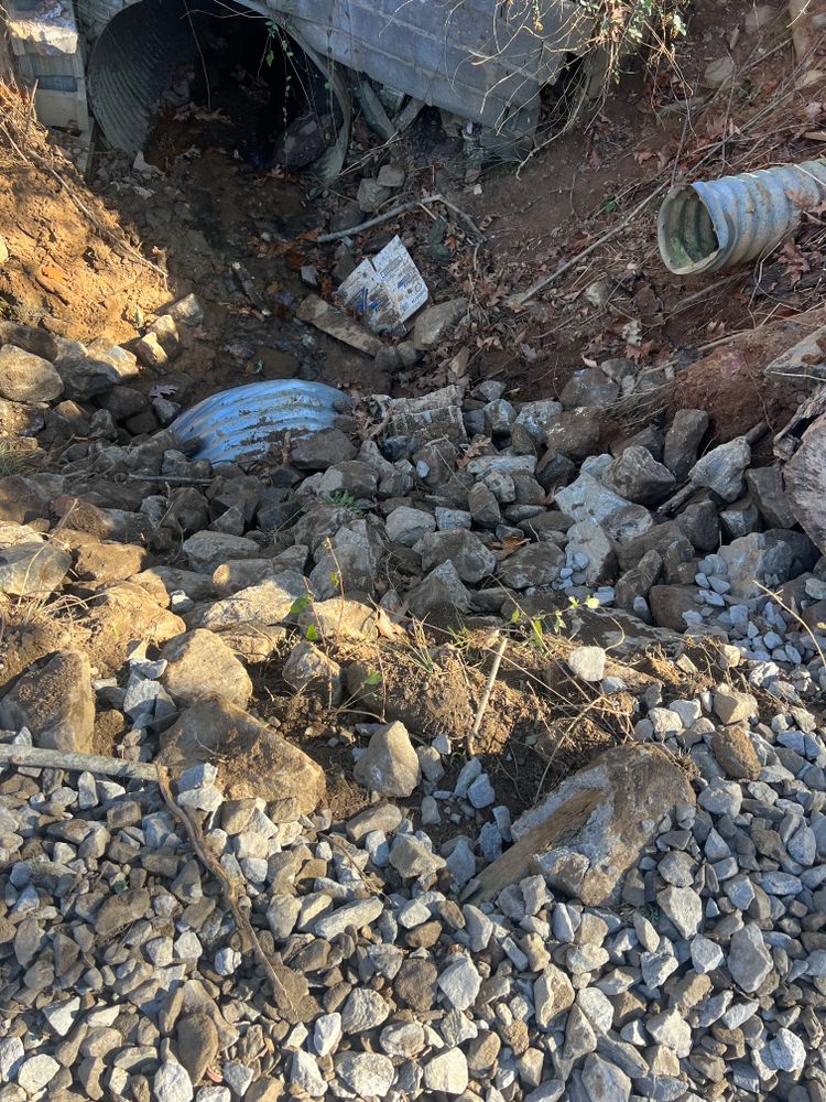 All Photos for Ground To Sky Tree Care in Asheville, North Carolina